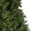 Northlight Pre-Lit Medium Canyon Pine Artificial Christmas Tree - 9' - Clear Lights - 3 of 4