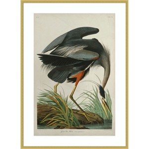 Amanti Art Lustr Great Blue Heron in Pearl White by John James Audubon Wood Framed Wall Art Print - 1 of 4