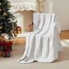 Electric Blanket, Waffle Heated Blanket with 5 Heating Levels and Time Setting, Machine Washable, ETL Certification - 3 of 4