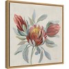 16" x 16" Field Bloom I by Silvia Vassileva, Framed Wall Canvas - Amanti Art: Modern Decor, Horizontal Layout - 2 of 4