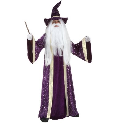 Halloweencostumes.com Medium Kids Wizard Costume, Purple : Target