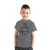 Youth The Nice Ish Elf T Shirt Funny Good Behavior Xmas Elves Joke Tee For Kids - Crazy Dog Youth T Shirt - 3 of 4