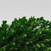 21.25" Preserved Boxwood Wreath - Threshold™ - image 4 of 4