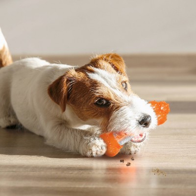 Medium Orange and Clear Chew Treat Dispenser Dog Toy