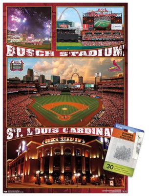 MLB St. Louis Cardinals - Logo 15 Wall Poster, 22.375 x 34