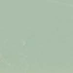 light green avocado pattern