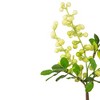 Allstate Floral 21" Ivory Green Spring Berry Artificial Silk Floral Spray - image 4 of 4