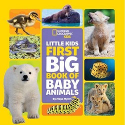 Little Kids First Big Book Of Baby Animals First Big Books By Maya Myers Hardcover Target