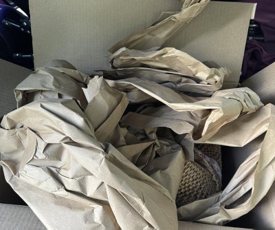 Guest review image 3 of 5, zoom in