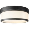 Quorum Lighting Celeste Glass Noir Flush Mount - 3 Lights, 14 Width, 5.5 Height - 2 of 2