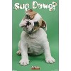 Trends International Keith Kimberlin - Sup Dawg Unframed Wall Poster Prints - 4 of 4