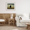 Stupell Industries Black Sheep in Field Framed Print Under Glass Art - 3 of 4