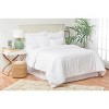 C&F Home 26" x 26" 26 x 26 Eyelashes White Cotton Euro Sham - Machine Washable - 2 of 4