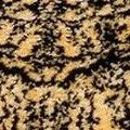 gold/black