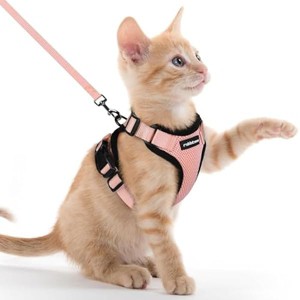 rabbitgoo Cat Harness and Leash for Walking, Escape Proof Soft Adjustable , Easy Control Breathable Reflective Strips Jacket, Light Salmon Pink, XXS - 1 of 1