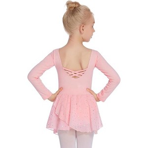 Arshiner Kids Girls Classic Long Sleeve Leotard Dance Ballet Dress - 1 of 3
