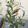 Artificial Olive Tree with Realistic Wood Trunk & Lush Leaves – Slim Pencil Faux Olive Plant for Home and Office Decor - 4 of 4