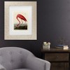 Trademark Fine Art - John James Audubon American Flamingo Matted Framed Art - image 2 of 4