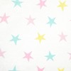 Lush Décor Micro Plush Fitted Crib Sheet - 3 of 4
