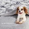 Bedsure- Cloud Soft PV Blanket ,Comfy Plush and Furry Faux Fur - 4 of 4