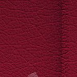 antoine winfield jr.