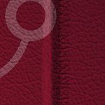 antoine winfield jr.