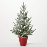 Artificial Potted Evergreen Pine Tree Multicolor 26"H
