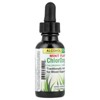 Herbs Etc. ChlorOxygen®, Chlorophyll Concentrate, Alcohol Free, Mint, 1 fl oz (30 ml) - 4 of 4