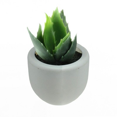 Northlight 3.5" Succulent Artificial Potted Plant Table Top Decoration - Green/White