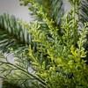 7"H Sullivans Lush Green Douglas Fir Orb, Green - 2 of 2