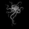 Men's Design By Humans Octopus By TAOJB T-Shirt - 2 of 4