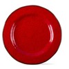 tagltd Veranda Melamine Dinner Plate Set Of 4 - 2 of 4