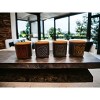 Bazillion Dreams Avatar The Last Airbender Mug Set - Four Nations with Bamboo Lids - Perfect Gift for Avatar Fans of Aang, Katara, Sokka, and Zuko - 3 of 4