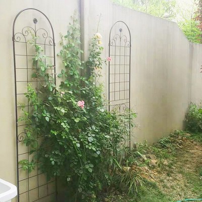 2 Pack Metal Garden Trellis, Rose Trellis Netting Trellis, Rust-proof Iron Plant Support Outdoor Flower Support For Climbing Vines
