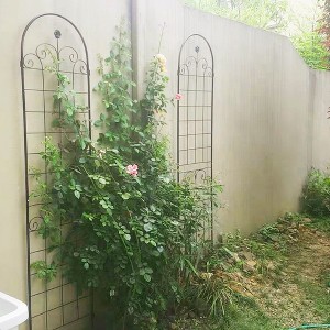 2 Pack Metal Garden Trellis, Rose Trellis Netting Trellis, Rust-proof Iron Plant Support Outdoor Flower Support For Climbing Vines - 1 of 4