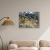 Art Remedy Vincent van Gogh - Olive Trees Van Gogh Classic Fields and Floral Wall Art Framed - 2 of 4
