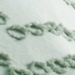 green - chevron design