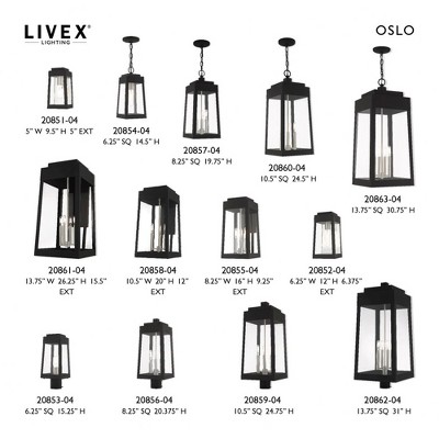 Oslo Black 3-Light Indoor/Outdoor Pendant with Clear Glass