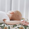 Sweet Jojo Designs Girl Baby Bassinet Fitted Sheets Set Vintage Floral Pink and Green 2pc - 3 of 4