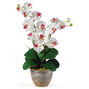 Nearly Natural Double Phalaenopsis Silk Orchid Flower Arrangement, White - 1 of 4