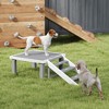 PawHut Wooden Dog Training Place Board, Dog Training Platform with Ladder for Small and Medium Dogs, Pet Agility System for Indoor Outdoor, Gray - 2 of 4