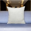HomeRoots 20" Brown and White Striped Cotton Throw Pillow - 2 of 4