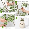 Artificial Plants Indoor, Tall Faux Floor Plant in Pot, Nandina Artificial Tree with Grey Planter for Home Decor Office Living Room - 4 of 4