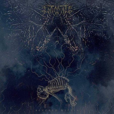Intonate - Severed WIthin (CD)