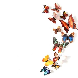 Kitcheniva 3D Butterfly Wall Stickers Art Decals - 1 of 3