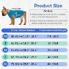 Dog Anxiety Relief Vest, Adjustable Calming Wrap Jacket for Dogs, Helps with Thunderstorm, Travel, Separation & Fireworks Stress - 2 of 4