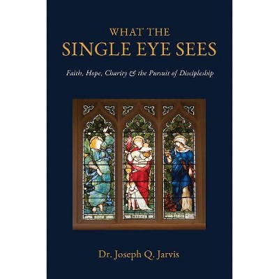 What the Single Eye Sees - by  Joseph Q Jarvis (Paperback)