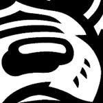 north carolina state wolfpack