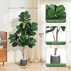 Artificial Fiddle Leaf Fig Tree in White Pot, Realistic 77-Leaves Faux Ficus Lyrata with Weighted Planter - 3 of 4