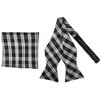Men's Checkered 2.75" x 4.75" Adjustable 16" - 20" Freestyle Self Tie with Hankie Set - 2 of 4